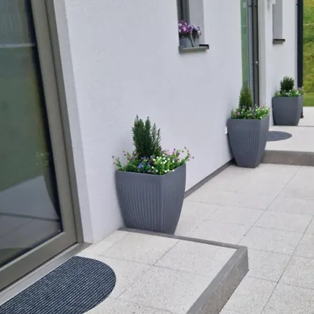 Fiffinjo פיסנדורף